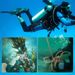 Outdoor Water Rescue Spearfishing Diving Knife Stainless Steel Dive Tool Rope Cutter_desvips.com