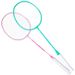 Red Happiness/DHS Badminton Pair For Beginners Double Racket Entry Training Alloy Model EG100 Pre-strung 2 Pieces_desvips.com