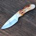 Bone Collector Hand Made Skinning And Hunting Knife Model BC808_desvips.com
