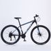 JINT Brand 29inch Mountain Bike Speed Adjustable Unisex Adult Bicycle_desvips.com