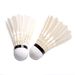 Cross-border Durable Training Adults, Suitable For Indoor Outdoor Entertainment And Competition, Wholesale Badminton_desvips.com