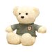 Teddy Bear Plush Toy Box, Stuffed Toy, Birthday Gift For Boyfriend, Girlfriend, Or Best Friend_desvips.com