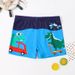 Boys' Cartoon Swim Trunks Medium And Large Children's Swimming Suits For Toddlers Suitable For Outerwear_desvips.com