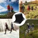 6 Pairs/lot Men's Autumn Winter 100% Cotton Running Sports Hiking Black White Gray Male Long Tube Socks_desvips.com