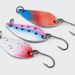 10PCS/Box 2.5g/3.5g/5g Fishing Kit Jig Spoon Lure Bait Set Hard Metal Spinner Wobbler Spoon Trout Bass Fishing Lure Spoon Bait_desvips.com