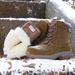 Men's Snow Fur One Outdoor Waterproof Non-slip Wool Boots Winter Padded Warm Cotton Shoes_desvips.com