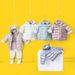 Cross-Border Jacket Spri Autumn Winter New Solid Coat Boys And Girls Candy Color Cute Stylish Children's Cotton_desvips.com