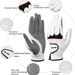 for Men's Left Hand Anti Slip Pu Leather Soft, Wear Resistant, Breathable Golf Gloves New Product_desvips.com