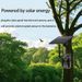 Cross-Border 4G Solar Outdoor Hunting Camera Infrared Waterproof Animal Tracking Sensor Photo Garden Wild Monitoring_desvips.com