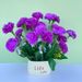 Carnation Potted Plants, Artificial Silk Flowers, Simulated Bouquets, Decorations For Teacher's Bedroom, Mother's Living_desvips.com
