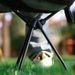 Outdoor Folding Portable Stand Lunch Break Fishing Recliner Footrest Moon Chair Aluminum Alloy Ultra-light_desvips.com