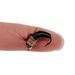 1/3Pcs/Box #10 Fishing Accessories Brass Bead Head Sinking Nymph Scud Fly Worm Trout Fishing Flies Artificial Insect Bait Lure_desvips.com