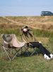 Outdoor Folding Moon Chair Portable Chair Camping Chair Picnic Gear Fishing Small Horse Stool Student Sketching_desvips.com
