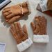 Super Warm Chestnut Color Autumn Winter Fingerless Outdoor Lamb Wool Suede Thickened Versatile Cold-Proof Cute Korean_desvips.com