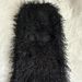 Unisex Knitted Balaclava Face Mask - Warm Winter Ski Headwear For Outdoor Sports, Halloween & Cosplay_desvips.com