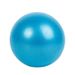 Yoga Ball Frosted Thick Explosion Proof Clip Back Ball Wheat Tube Ball Gymnastics Ball Fitness Ball 25cm Pilates Small Ball_desvips.com