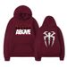 Pullover Hoodie Long Sleeve Streetwear Women's Men's Hooded Sweatshirt Fashion Clothing_desvips.com