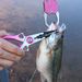 New Product Lure Device With Scale Aluminum Alloy Multi-Functional Large Control Clamp Weight 35kg Fish Catching Pliers_desvips.com