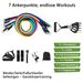 Agilithor Adjustable Resistance Bands | 150 Lbs Max | Durable For Beginners_desvips.com
