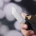 Small Fixed Blade Hunting Knife With Sheath, Survival Knife With Fire Starter, Compass, And Mirror, 2.36-Inch 440C Stainless Steel Blade, G10 Handle F_desvips.com
