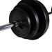 Home Gym Barbell/Dumbbell Set - 30.5 Kg Total Weight - Chrome-Plated Bars - Cement Plates With Plastic Coating - Includes Star Collars_desvips.com